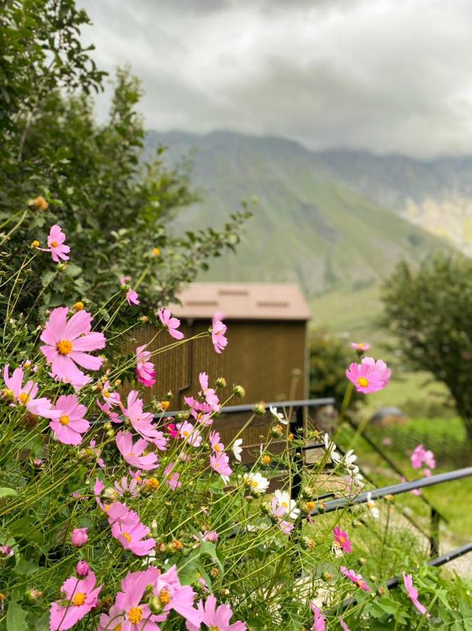 Apartamento My Space Kazbegi Exterior foto